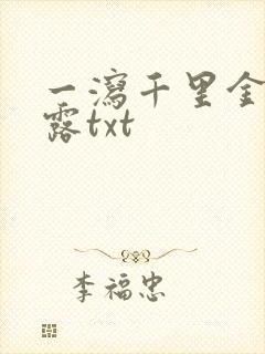 一泻千里金银花露txt