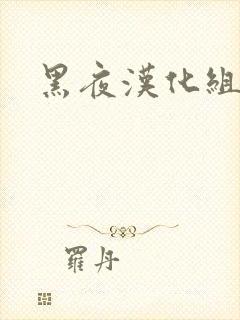 黑夜汉化组