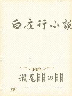 白夜行小说下载