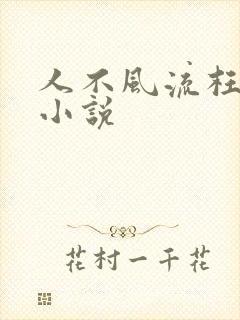 人不风流枉少年小说