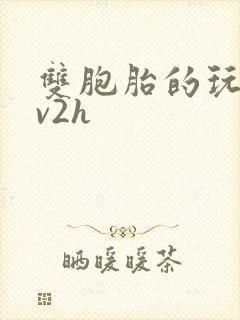 双胞胎的玩具1v2h