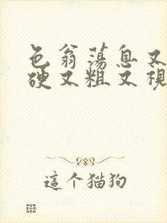 色翁荡息又大又硬又粗又视频图片