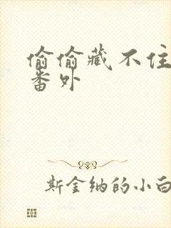 偷偷藏不住新婚番外