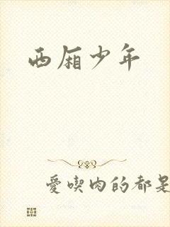 西厢少年