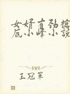 女婿有劲枪枪到底小峰小说