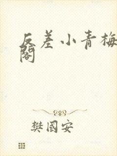 反差小青梅笔趣阁