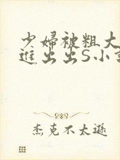 少妇被粗大猛进进出出S小说