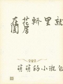 在花轿里就开始圆房