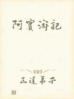 阿宾游记
