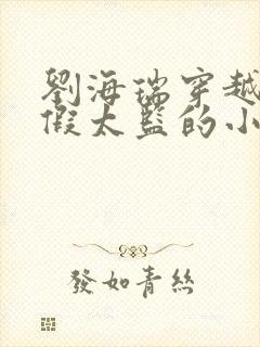 刘海瑞穿越后宫假太监的小说