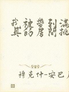 我被带到满是玩具的房间挑调作文