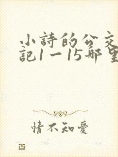 小诗的公交车日记1一15哪里能看