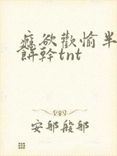 瘾欲欢愉半块小饼干tnt