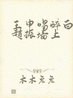 王申喝醉白洁被赵振墙上