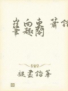 崔向东 萧错 笔趣阁