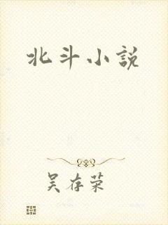 北斗小说