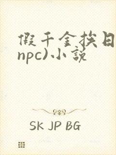 假千金挨日记(npc)小说