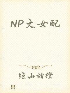 NP文女配