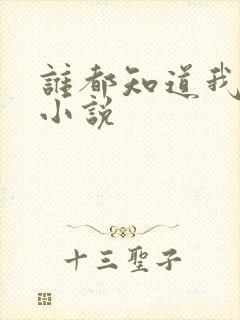 谁都知道我爱你小说