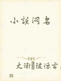 小说网名