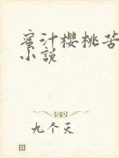 蜜汁樱桃苦咖啡小说