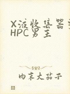 X液收集器系统HPC男主