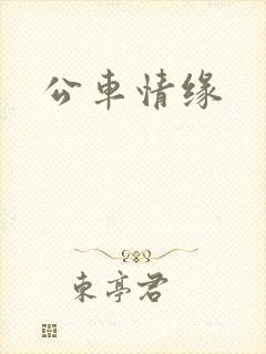 公车情缘