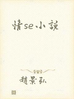 情se小说