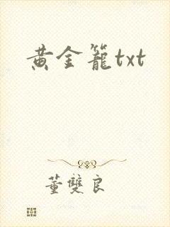 黄金笼txt