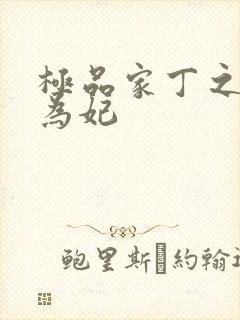 极品家丁之册母为妃