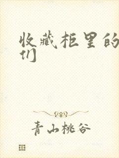 收藏柜里的男人们