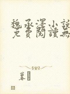 魏承泽小说全文免费阅读无弹窗笔趣