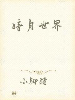 暗月世界