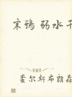 寒鸦 弱水千流