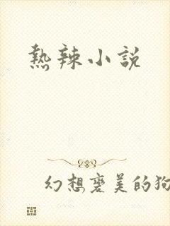 热辣小说