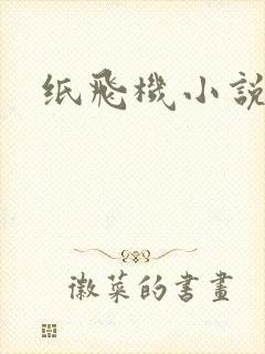 纸飞机小说