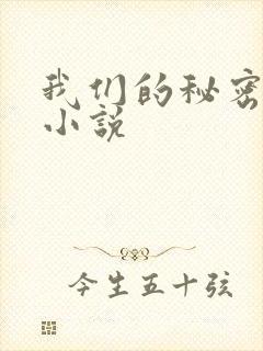 我们的秘密泰剧小说
