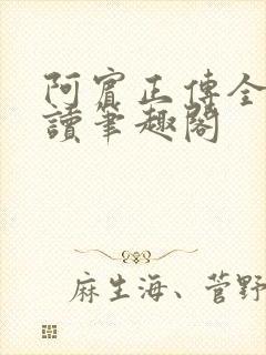 阿宾正传全文阅读笔趣阁