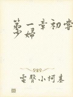 第一章初尝极品少妇