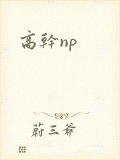 高干np