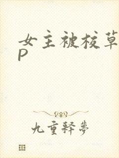 女主被校草们NP