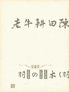 老牛耕田陈雪