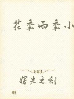 花季雨季小说