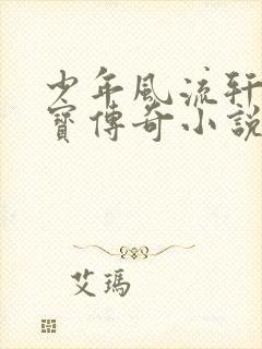 少年风流轩辕大宝传奇小说