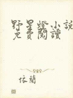 野星灯小说全文免费阅读