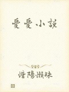 爱爱小说