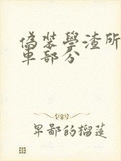 伪装学渣所有开车部分