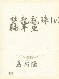 双龙戏珠1v2躺平鱼