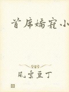 首席娇宠小情人