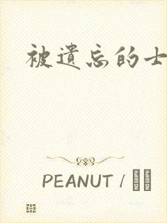 被遗忘的士兵